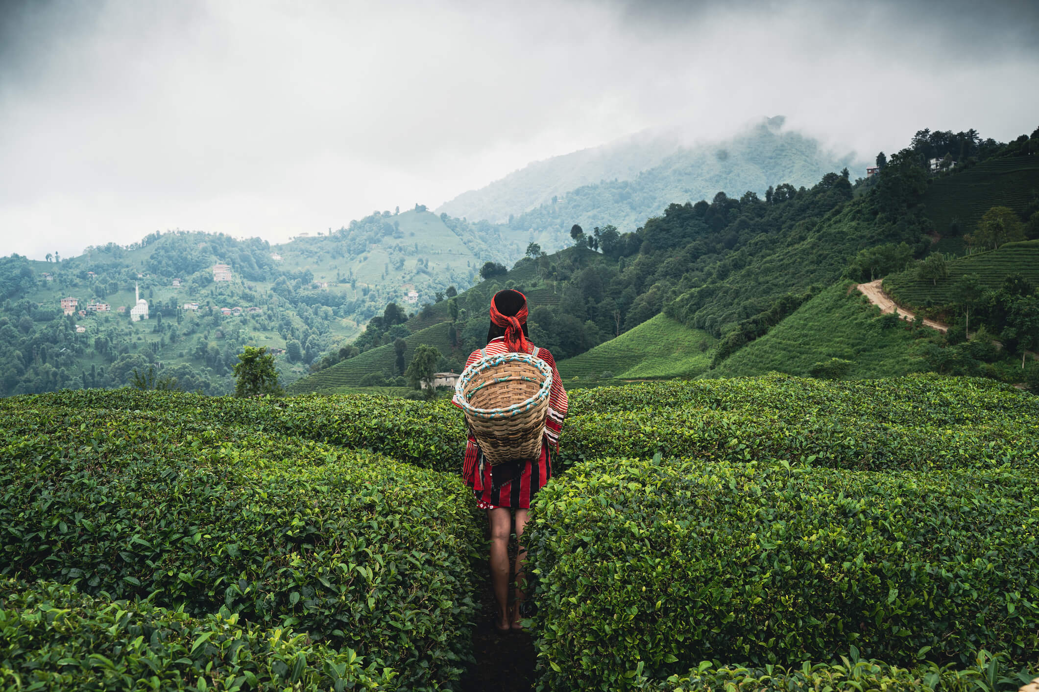 Ein Paradies für Foodies: Mit SunExpress die besten Kulinarik Hot-Spots der Türkei entdecken